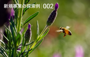 新規事業の探索例-002：デジカメ技術を起点に、「ハチが紡ぐサステナブルファッション素材を提供する養蜂DX」の実現へ