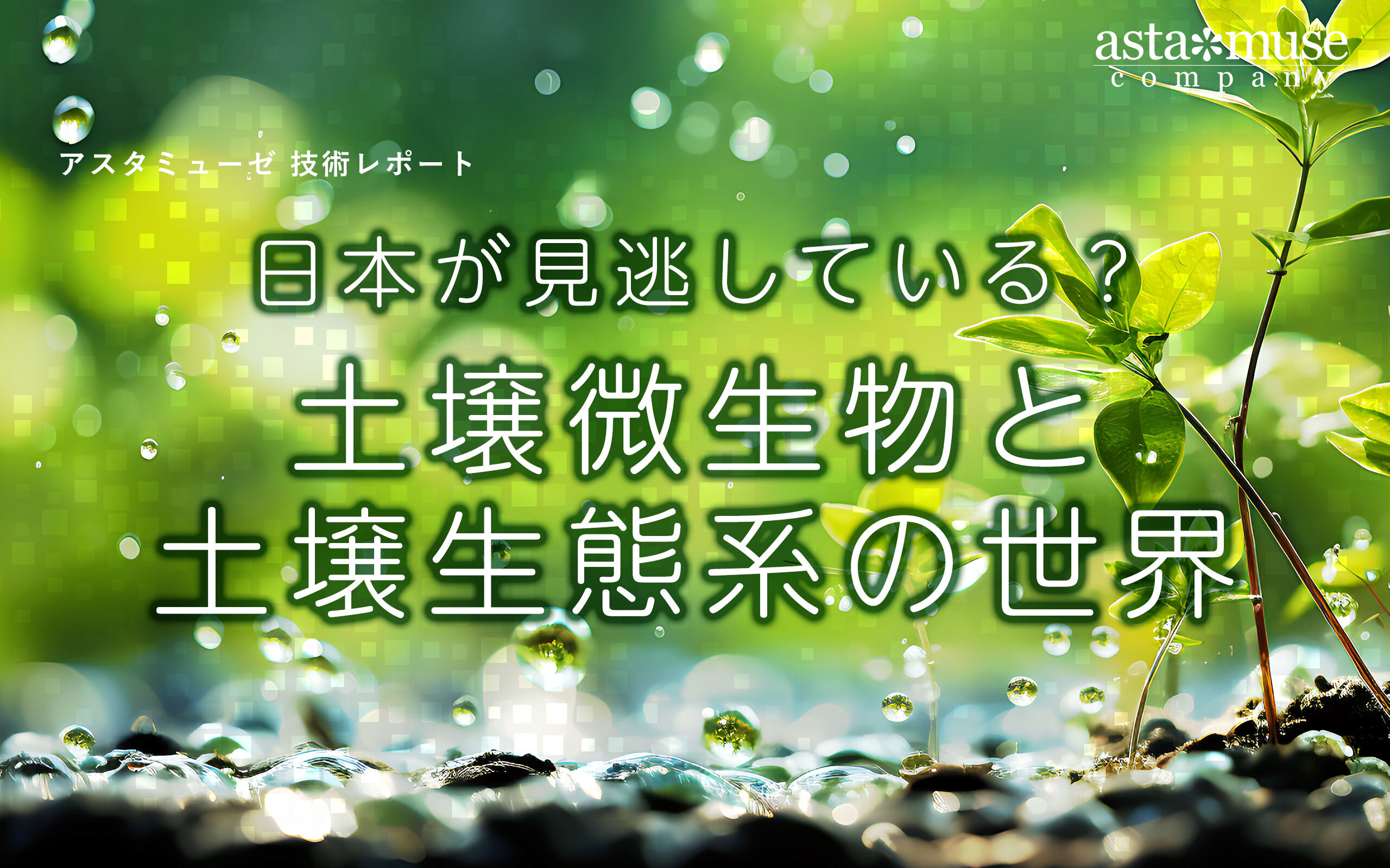 日本が見逃している？ 土壌微生物と土壌生態系の世界 ～論文から見る、土壌のサステナビリティ研究動向～