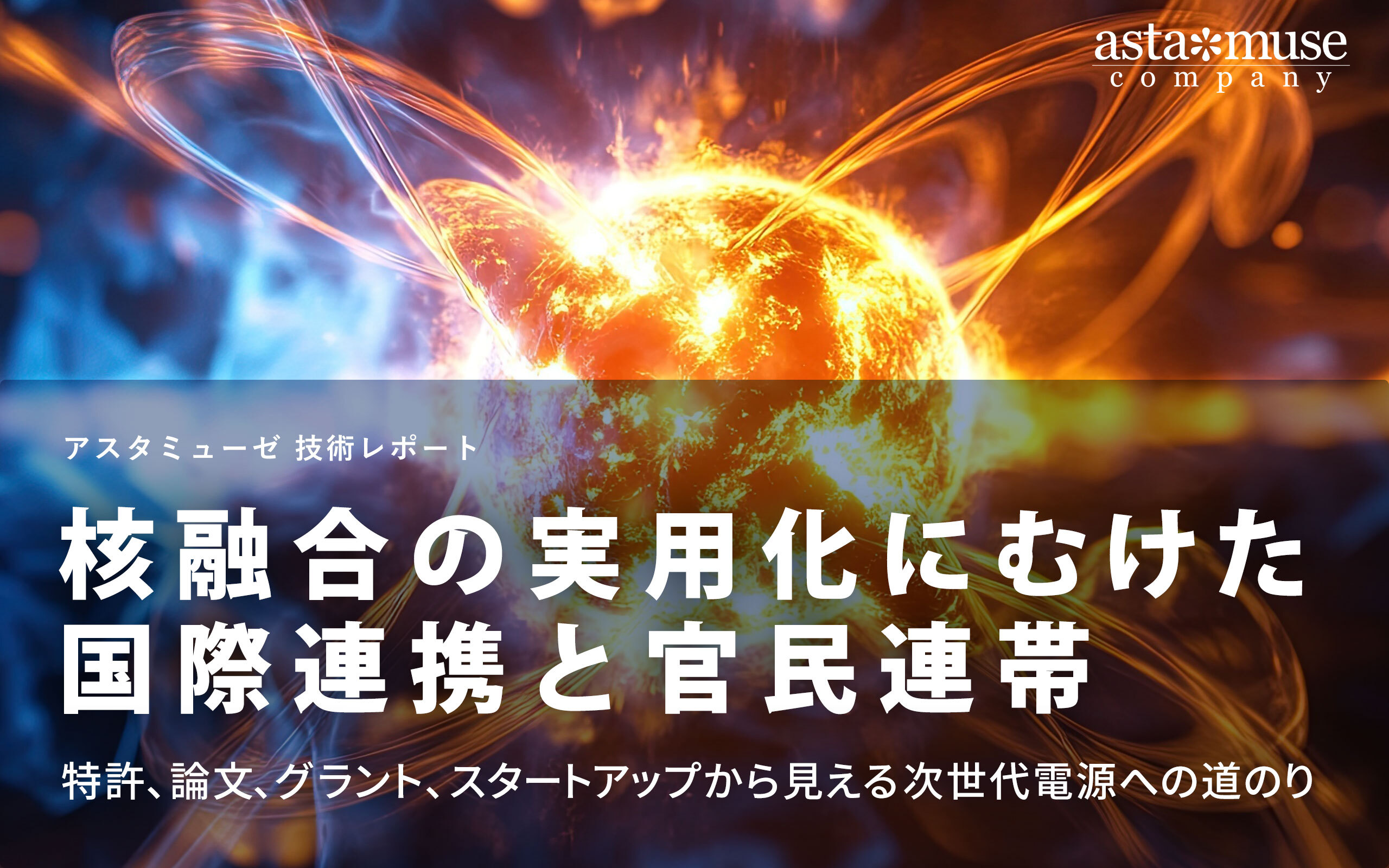 核融合の実用化にむけた国際連帯と官民連帯:特許、論文、グラント、スタートアップから見える次世代電源への道のり
