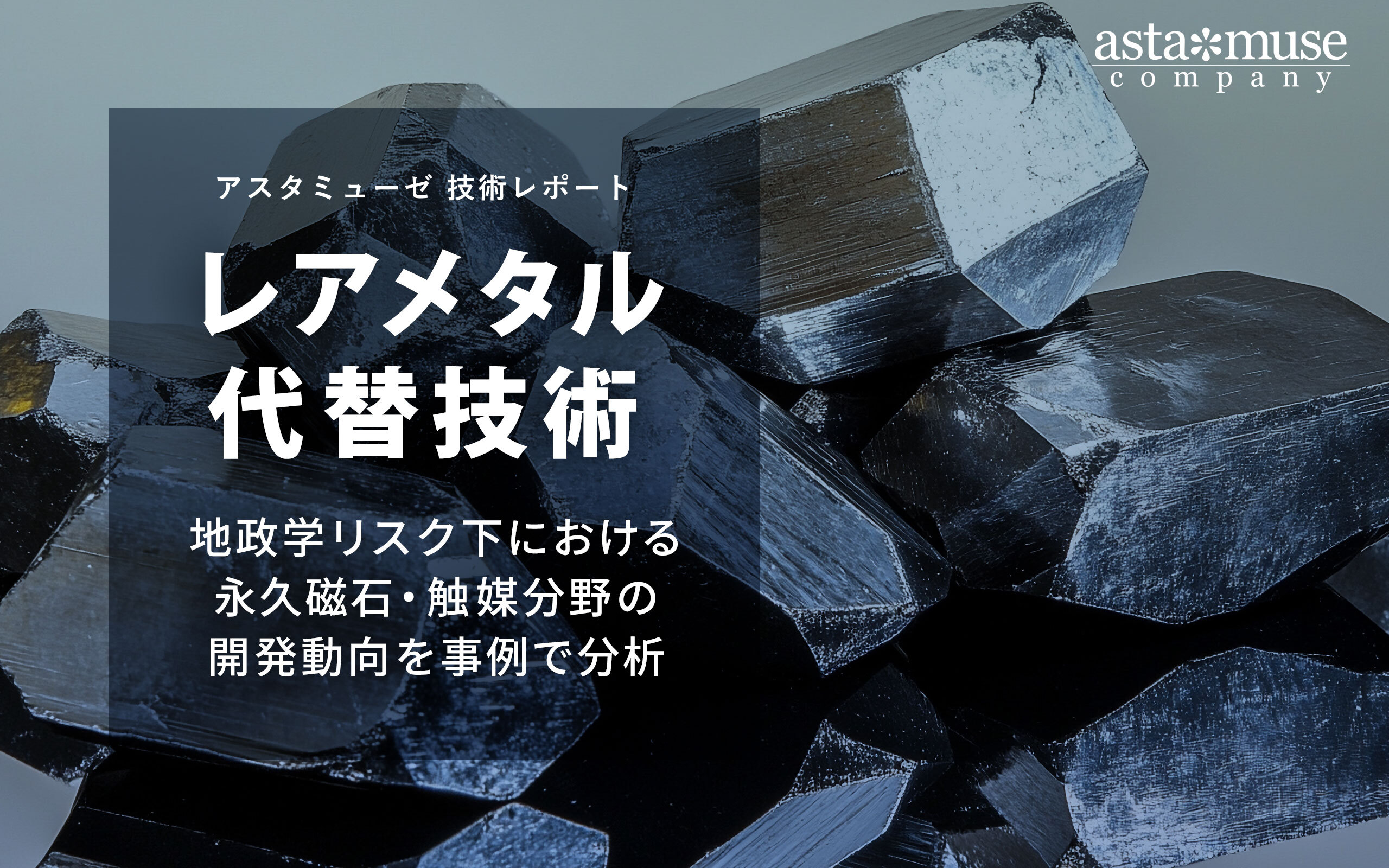 レアメタル代替技術 ～地政学リスク下における永久磁石・触媒分野の 