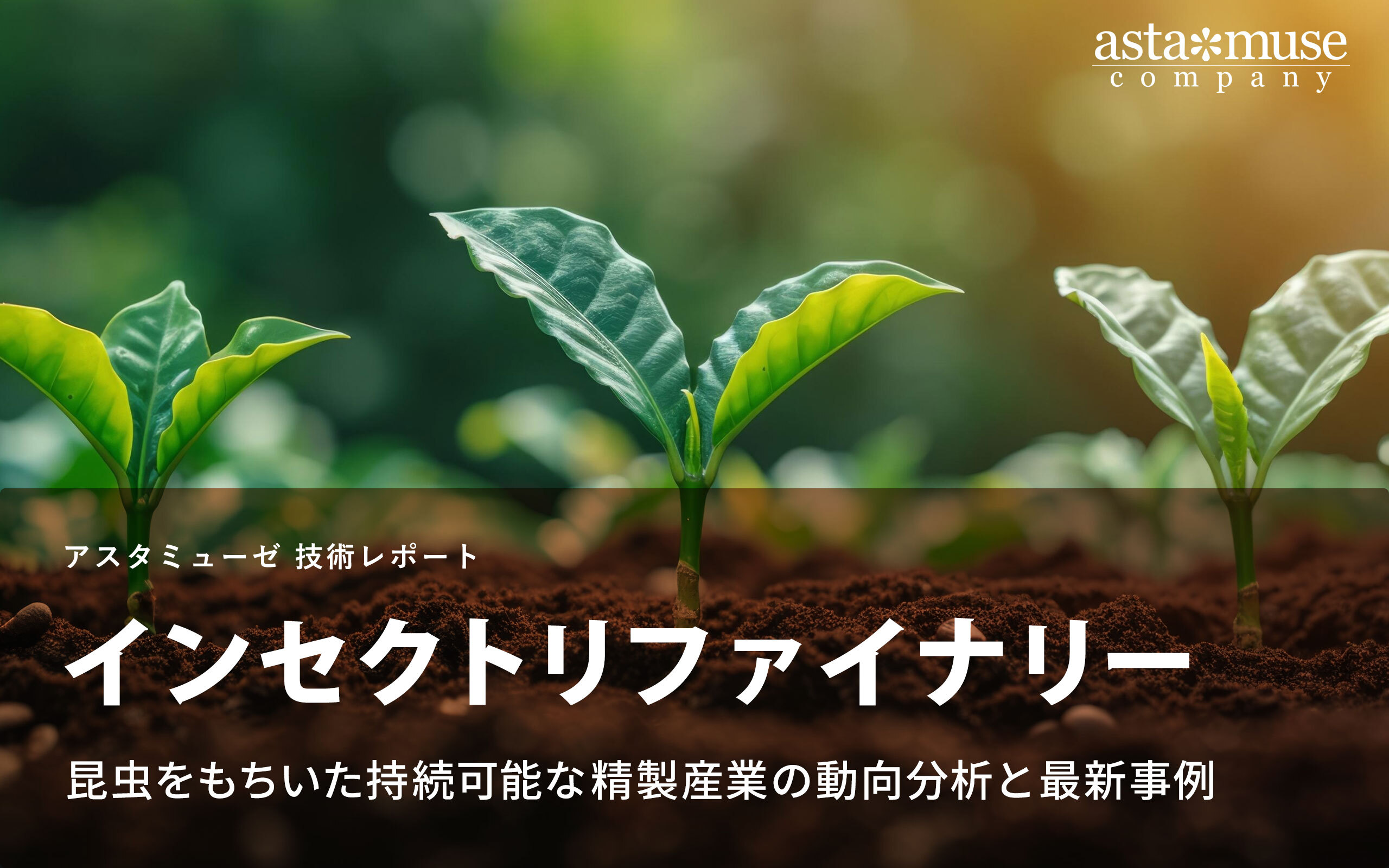 インセクトリファイナリー: 昆虫をもちいた持続可能な精製産業の動向分析と最新事例