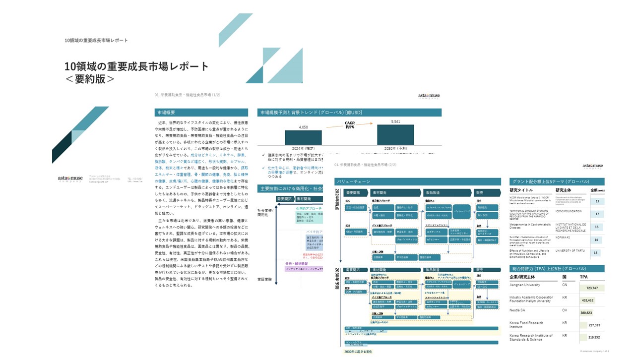 ※重要成長市場レポートのサンプルイメージ