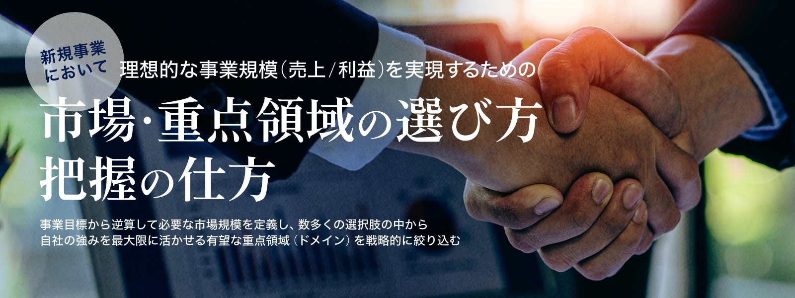 新規事業において理想的な事業規模(売上/利益)を実現する為の市場・重点領域の選び方・把握の仕方