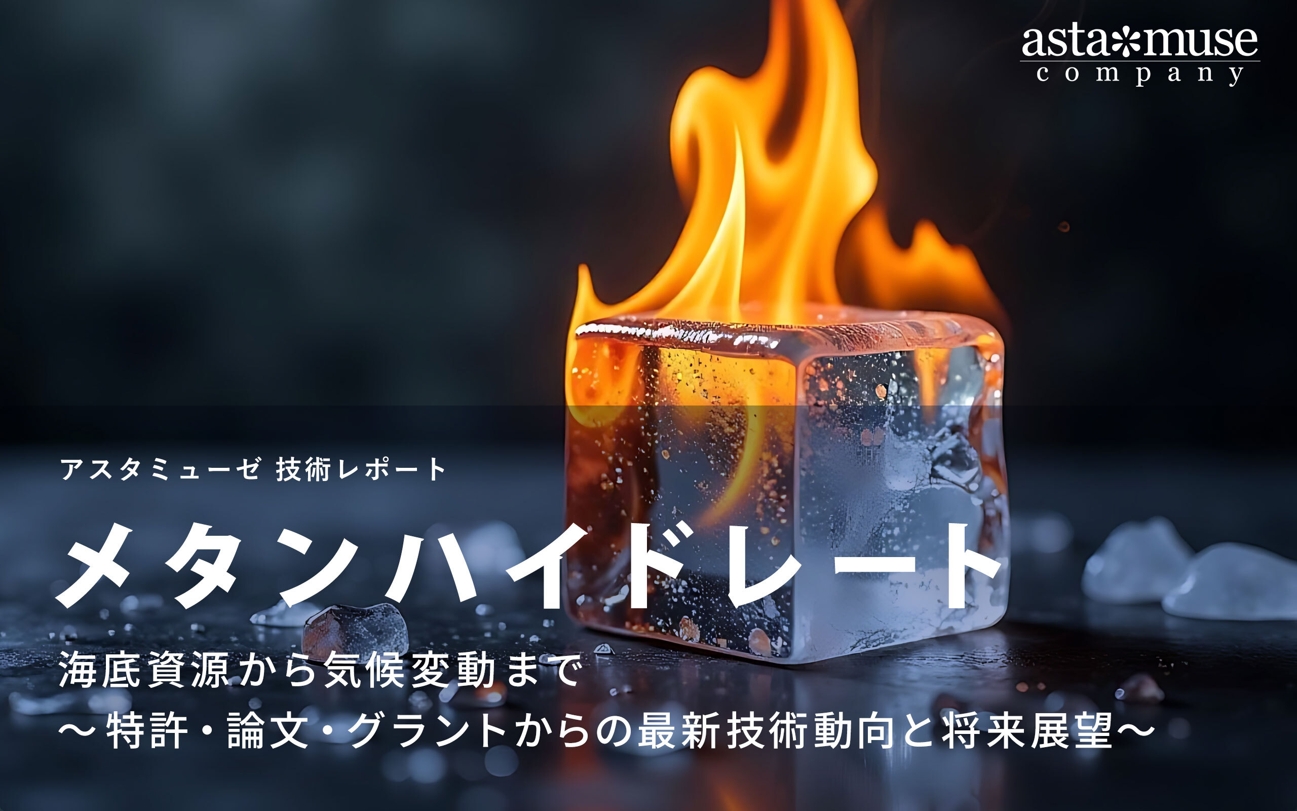 メタンハイドレート：海底資源から気候変動まで ～特許・論文・グラントからの最新技術動向と将来展望～