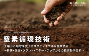 窒素循環技術：土壌から地球を変えるサスティナブルな農業技術 ～特許・論文・グラント・スタートアップからの技術動向分析～